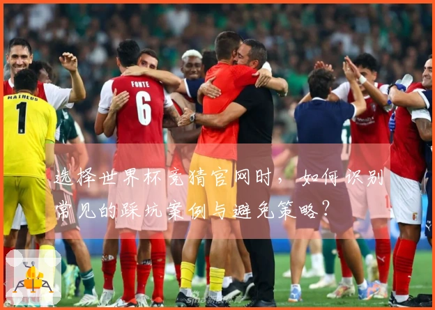 选择世界杯竞猜官网时，如何识别常见的踩坑案例与避免策略？