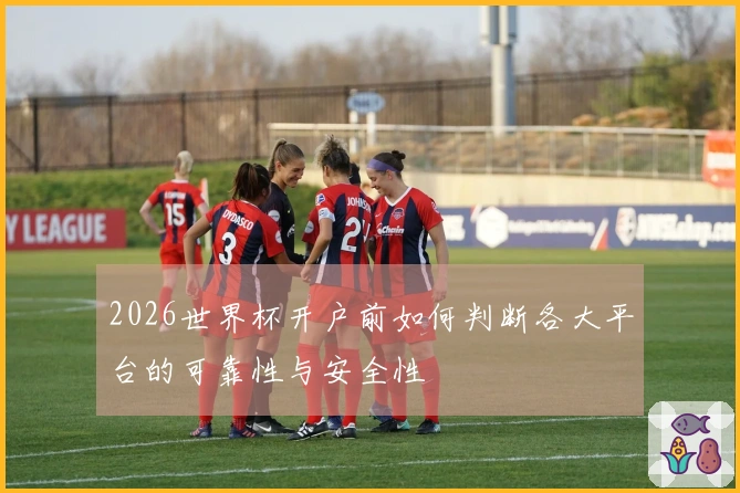 2026世界杯开户前如何判断各大平台的可靠性与安全性