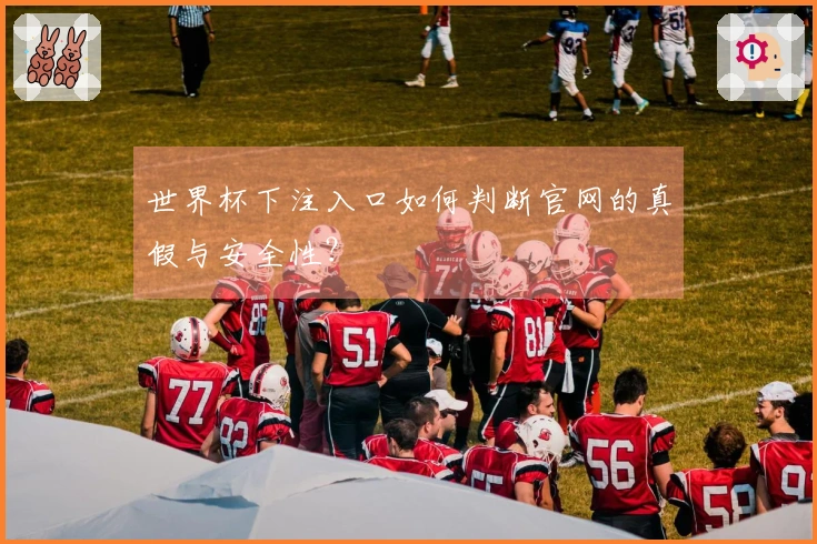 世界杯下注入口如何判断官网的真假与安全性？