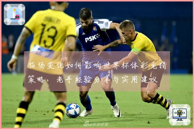 临场变化如何影响世界杯体彩竞猜策略，老手经验分享与实用建议