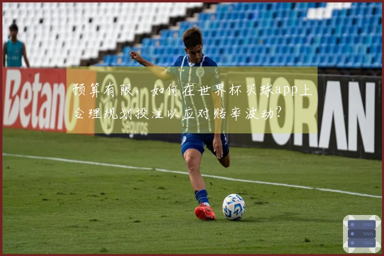 预算有限，如何在世界杯买球app上合理规划投注以应对赔率波动？