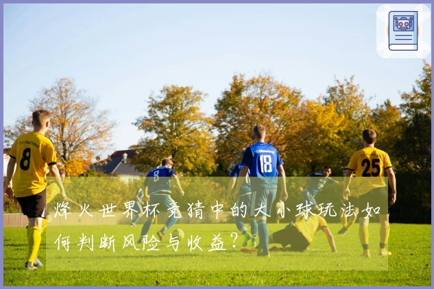 烽火世界杯竞猜中的大小球玩法如何判断风险与收益？