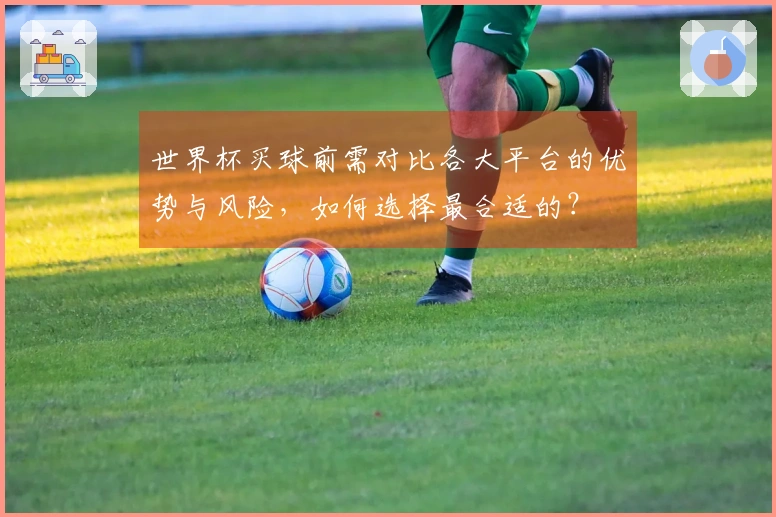 世界杯买球前需对比各大平台的优势与风险，如何选择最合适的？