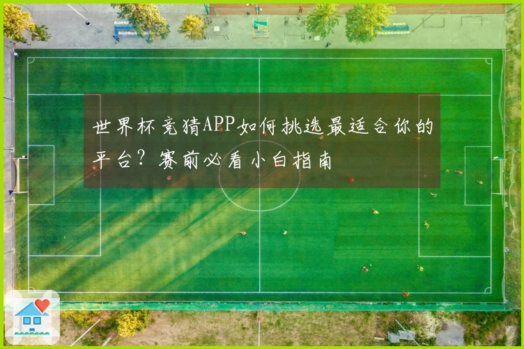 世界杯竞猜APP如何挑选最适合你的平台？赛前必看小白指南