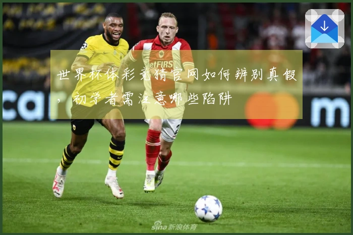 世界杯体彩竞猜官网如何辨别真假，初学者需注意哪些陷阱