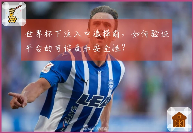 世界杯下注入口选择前，如何验证平台的可信度和安全性？