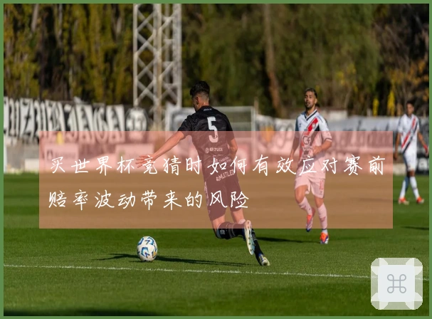 买世界杯竞猜时如何有效应对赛前赔率波动带来的风险