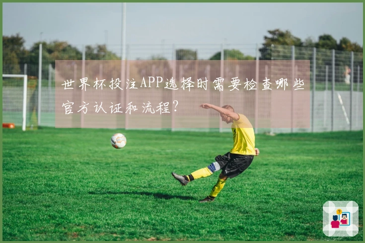 世界杯投注APP选择时需要检查哪些官方认证和流程？
