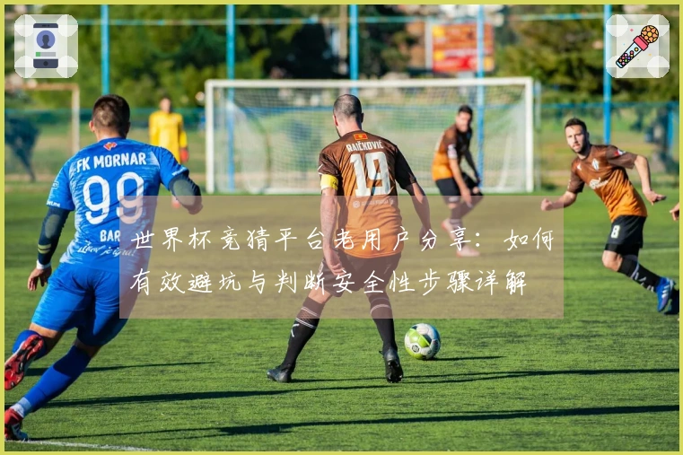 世界杯竞猜平台老用户分享：如何有效避坑与判断安全性步骤详解