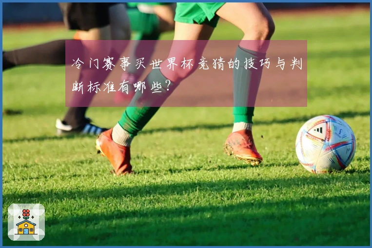 冷门赛事买世界杯竞猜的技巧与判断标准有哪些？