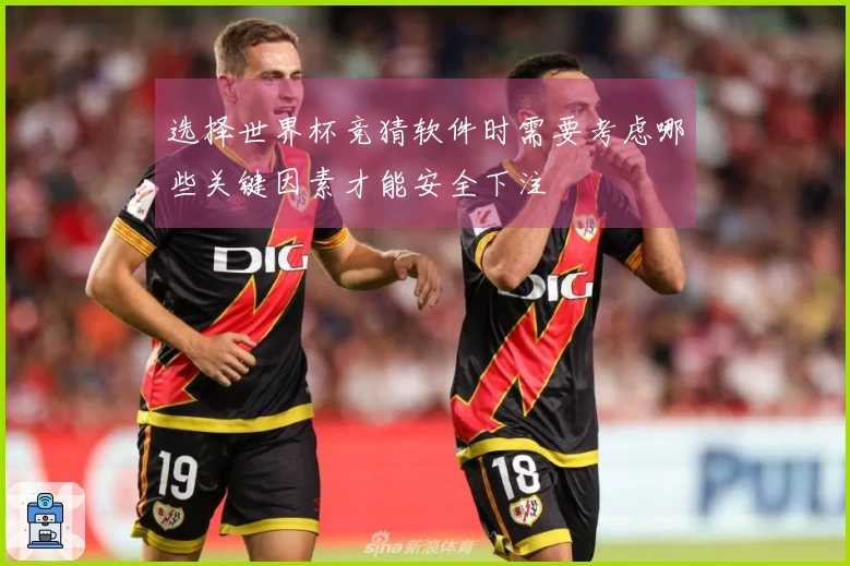 选择世界杯竞猜软件时需要考虑哪些关键因素才能安全下注