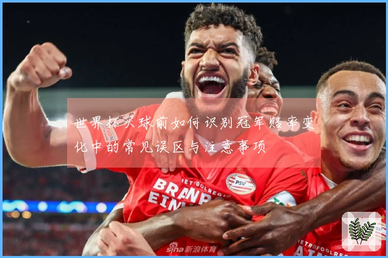 世界杯买球前如何识别冠军赔率变化中的常见误区与注意事项