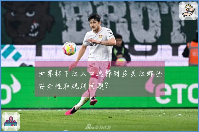 世界杯下注入口选择时应关注哪些安全性和规则问题？