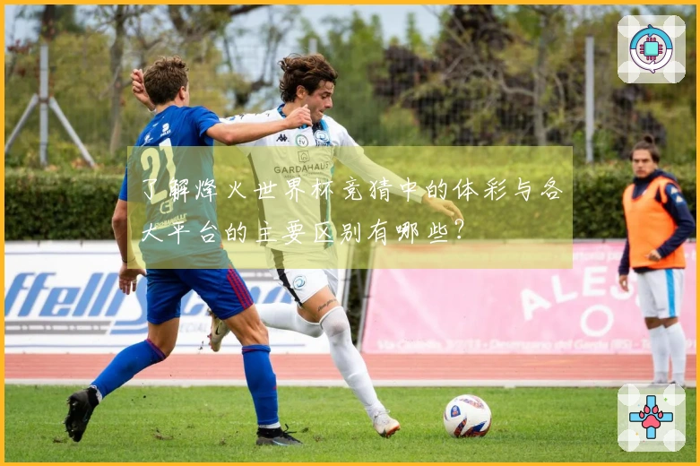 了解烽火世界杯竞猜中的体彩与各大平台的主要区别有哪些？