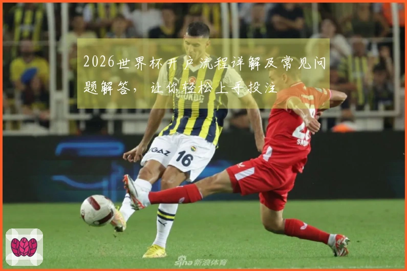 2026世界杯开户流程详解及常见问题解答,让你轻松上手投注