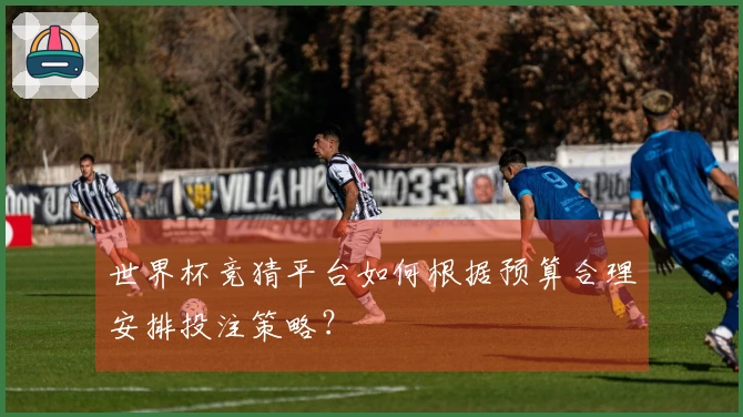 世界杯竞猜平台如何根据预算合理安排投注策略？