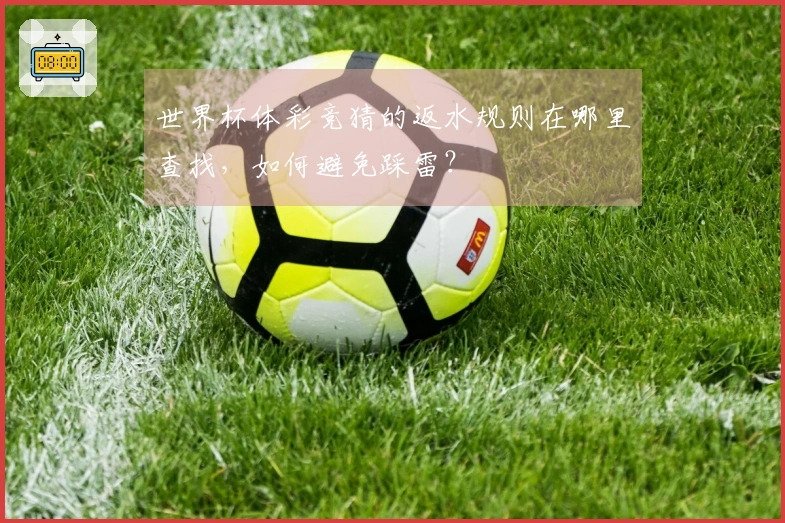 世界杯体彩竞猜的返水规则在哪里查找，如何避免踩雷？