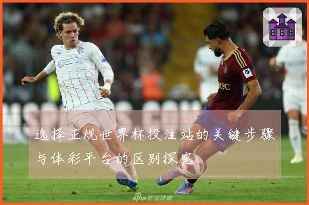 选择正规世界杯投注站的关键步骤与体彩平台的区别探究