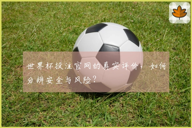 世界杯投注官网的真实评价,如何分辨安全与风险?