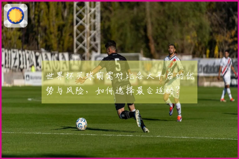 世界杯买球前需对比各大平台的优势与风险，如何选择最合适的？