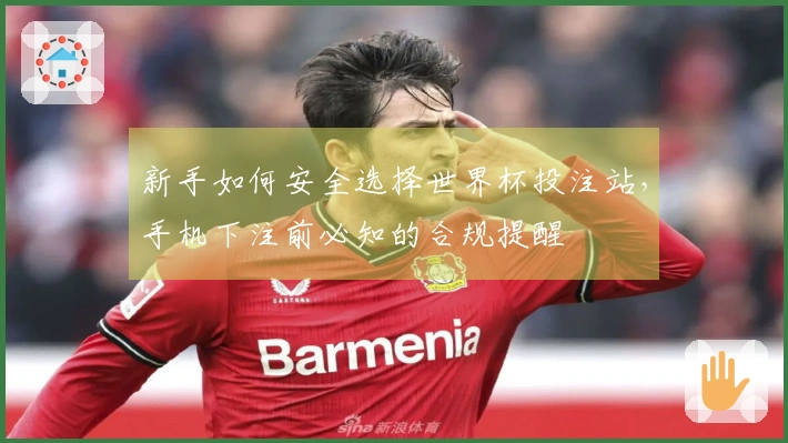 新手如何安全选择世界杯投注站，手机下注前必知的合规提醒