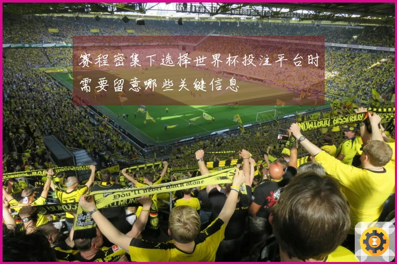 赛程密集下选择世界杯投注平台时需要留意哪些关键信息