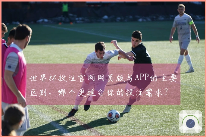 世界杯投注官网网页版与APP的主要区别，哪个更适合你的投注需求？