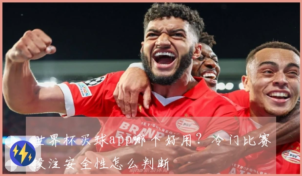 世界杯买球app哪个好用?冷门比赛投注安全性怎么判断
