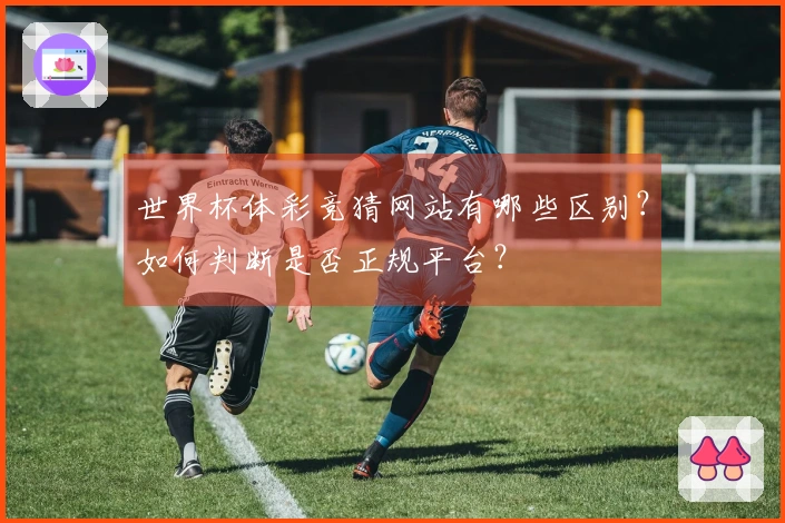 世界杯体彩竞猜网站有哪些区别？如何判断是否正规平台？