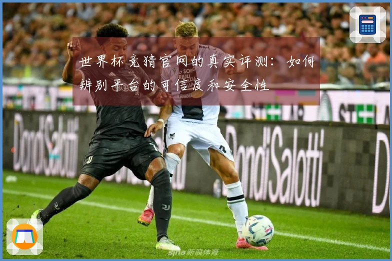 世界杯竞猜官网的真实评测：如何辨别平台的可信度和安全性