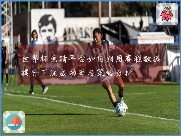 世界杯竞猜平台如何利用赛程数据提升下注成功率与策略分析