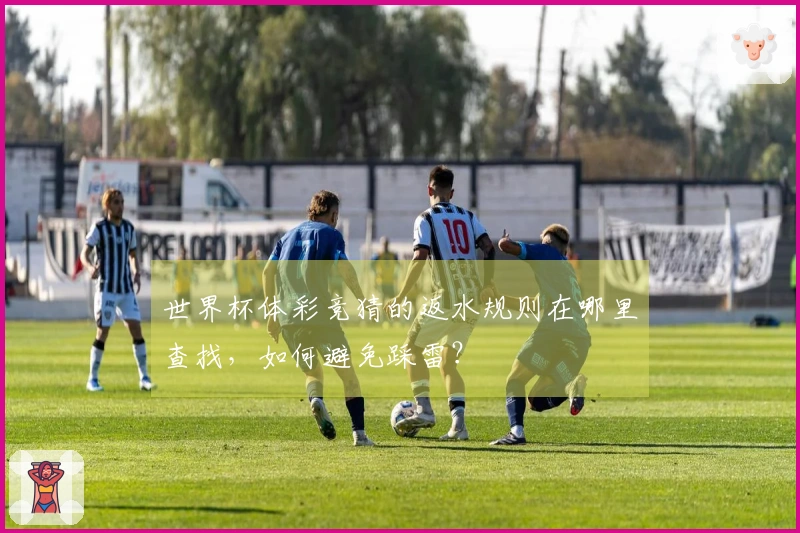 世界杯体彩竞猜的返水规则在哪里查找，如何避免踩雷？