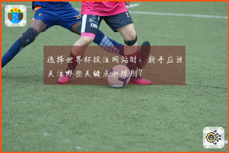 选择世界杯投注网站时，新手应该关注哪些关键点和规则？