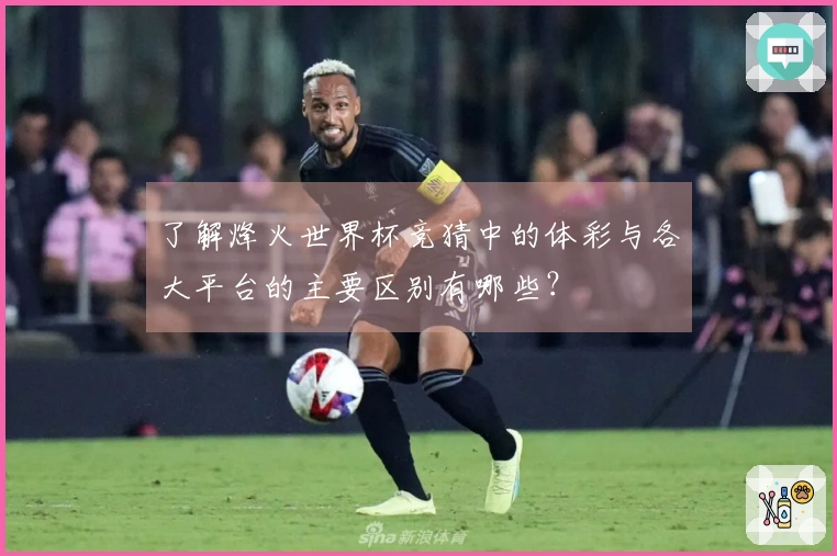 了解烽火世界杯竞猜中的体彩与各大平台的主要区别有哪些？