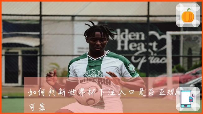 如何判断世界杯下注入口是否正规可靠