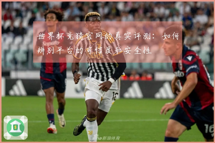 世界杯竞猜官网的真实评测：如何辨别平台的可信度和安全性