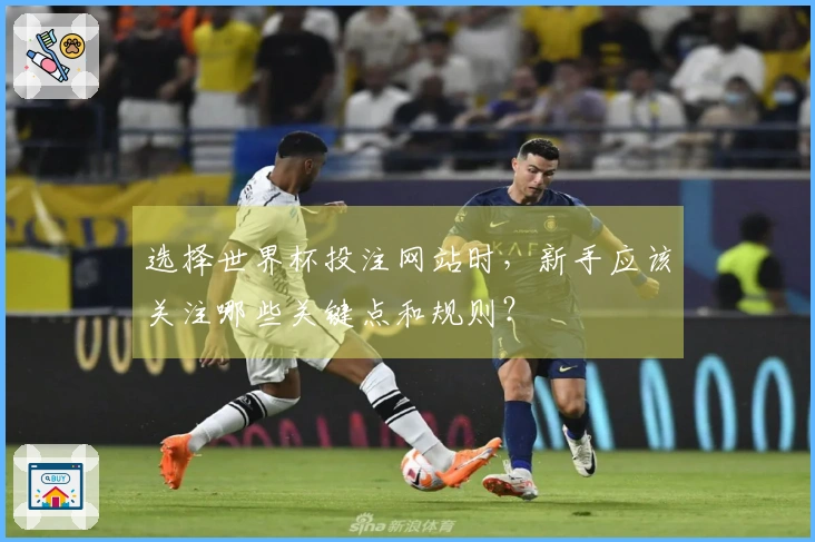 选择世界杯投注网站时，新手应该关注哪些关键点和规则？