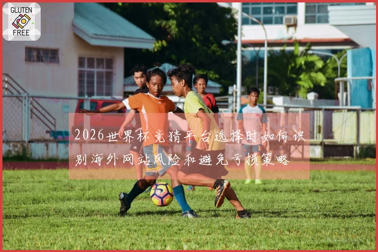 2026世界杯竞猜平台选择时如何识别海外网站风险和避免亏损策略