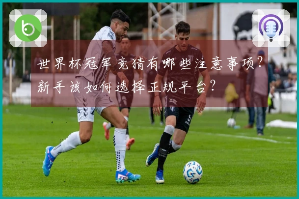 世界杯冠军竞猜有哪些注意事项？新手该如何选择正规平台？