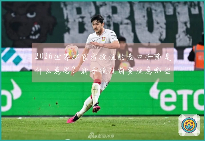 2026世界杯官方投注的盘口升降是什么意思？新手投注前要注意哪些陷阱？