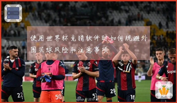 使用世界杯竞猜软件时如何规避外围买球风险和注意事项