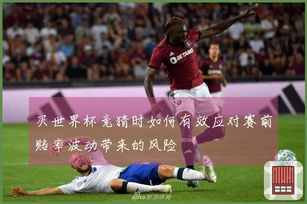 买世界杯竞猜时如何有效应对赛前赔率波动带来的风险