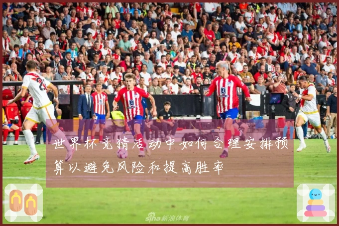 世界杯竞猜活动中如何合理安排预算以避免风险和提高胜率