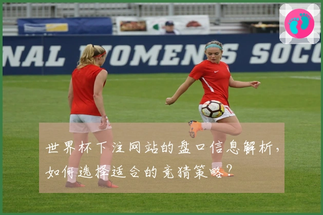 世界杯下注网站的盘口信息解析，如何选择适合的竞猜策略？
