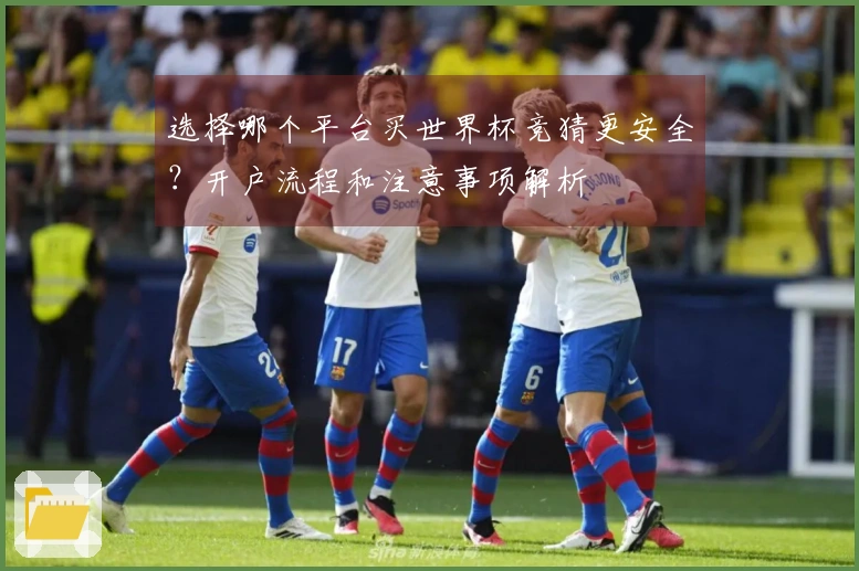 选择哪个平台买世界杯竞猜更安全？开户流程和注意事项解析