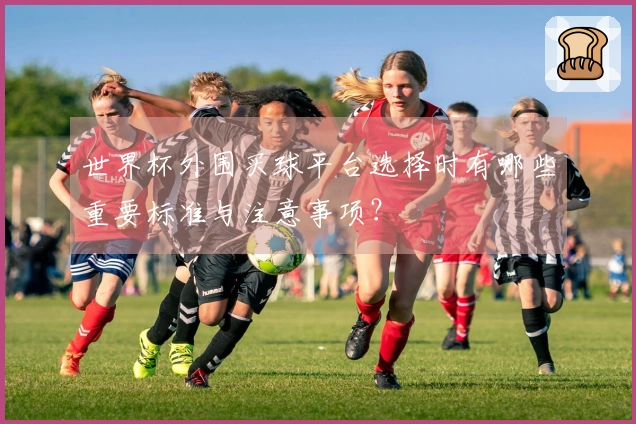 世界杯外围买球平台选择时有哪些重要标准与注意事项？
